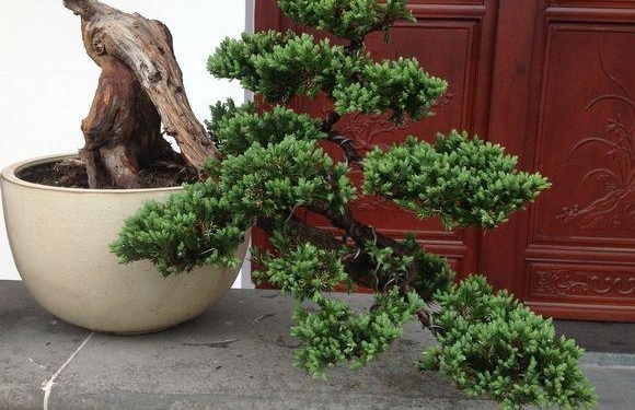 ɽһùСȼʮ׮ֵǮ