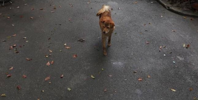 ڼϳﹷҲԹˣ30Ԫһ죬˹᲻