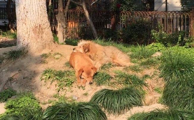 ڼϳﹷҲԹˣ30Ԫһ죬˹᲻