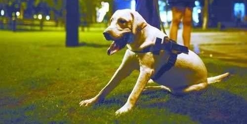 �޹���˨���������ھӱ�ҧ�ˣ���ݸ���ϵ�һ��С��һҵ����������⣡