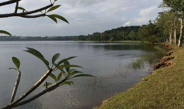 ǣʺϱϵĳУѵֵͣһȥ