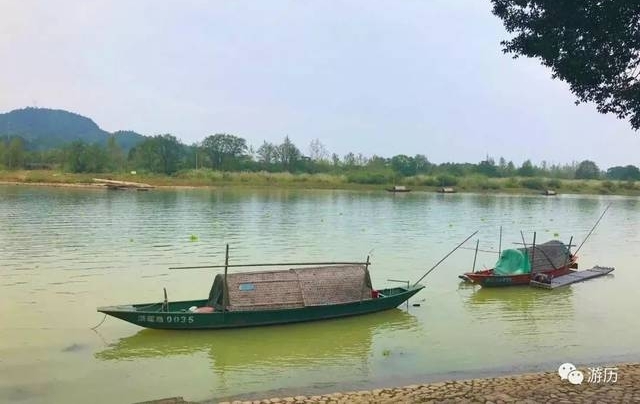 边走边看 | 旅途中的美展