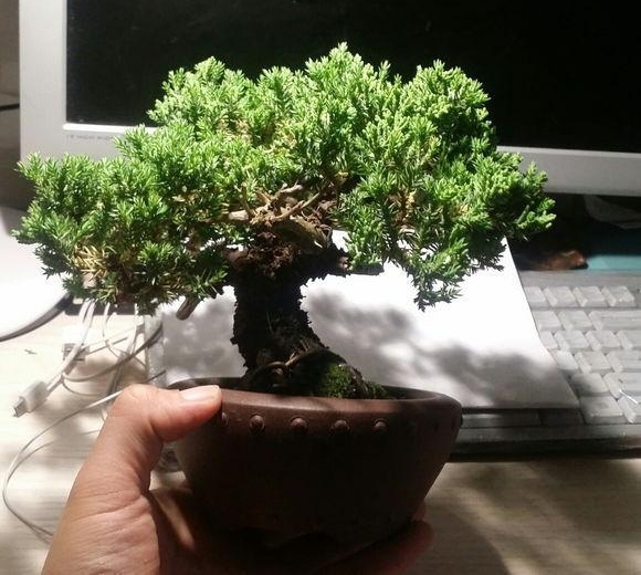 ɽһùСȼʮ׮ֵǮ