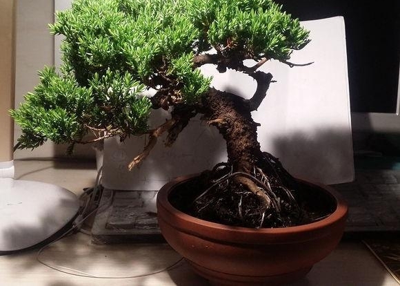 ɽһùСȼʮ׮ֵǮ