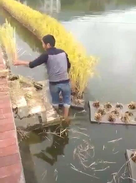��������ˮ�����и�һ���𡰴��ӡ���·�˲��⣬�߽�һ���׷׵���