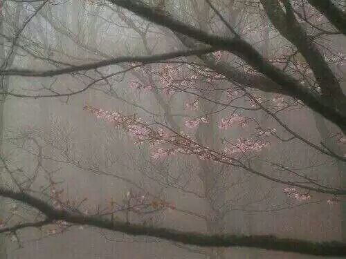 ϣҪĶܵõ ϣ۾һֱЦ.