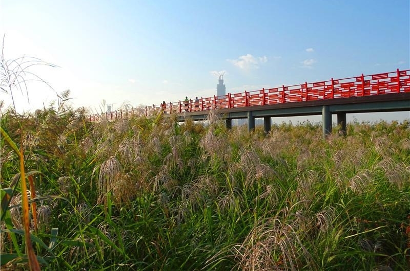 六年前的观芦小桥建议 今朝变成芦花栈桥 汉口江滩芦花栈桥建成