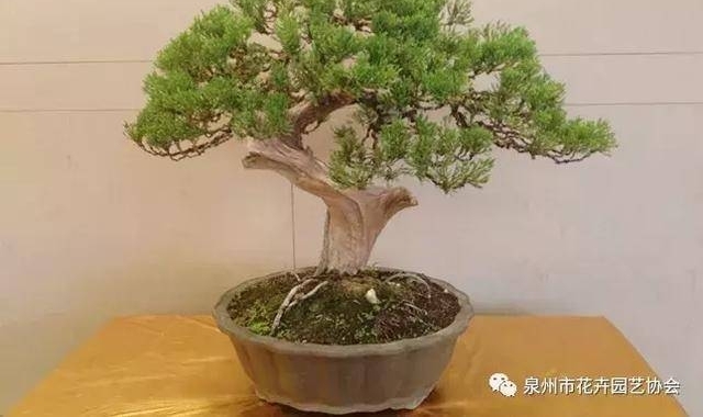 Ȫ�ݻ�Э���ؽ������辰Э����Ľ����»ỻ���ѡ���Բ���ɹ�