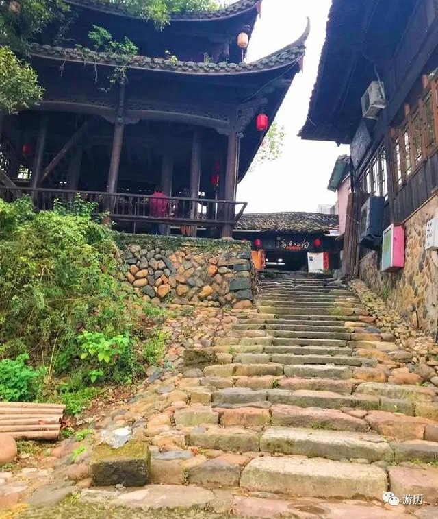 边走边看 | 旅途中的美展