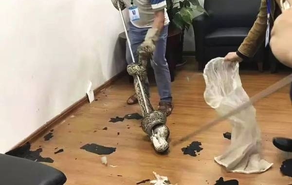 2�׳���15���صĴ��ߡ�������������·�����ĳ����