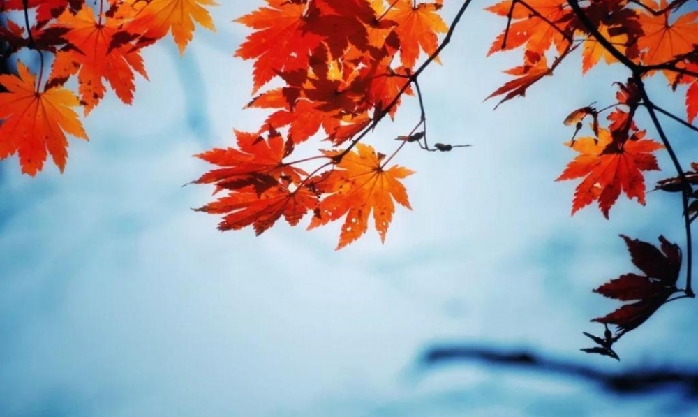 ���һ����Ӱ���ټ���ů����| �й�֮��