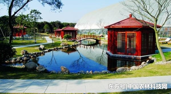 йʮģʽ֮ǽԼͣϺɽ