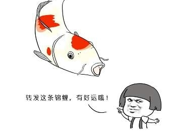 ʱⲩݣҳձͻ˵ġ𡱣