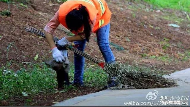 Ԫе벻õ壬ǻ˽ڣˣ