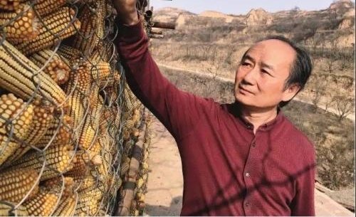 新疆作家刘亮程:我有一个长项,可以听懂风声