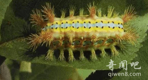 ũ���5�����ޣ������С���Ⱳ��Ҳû������
