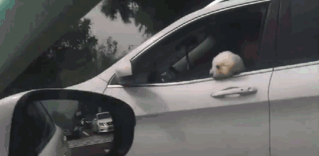 �����ϳ�����ʻ������С��:��ʱ���Դ������ⴵ��