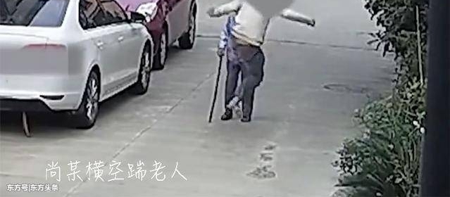 “这样会把自行车摔坏的”87岁奶奶善意提醒却遭18岁男子毒打