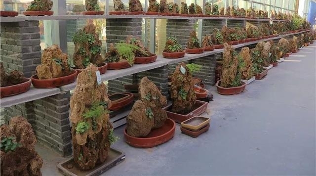��Ʒ��ʯչ��Ȥ������3000��չƷ����ע��