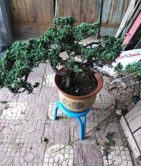 ɽһùСȼʮ׮ֵǮ