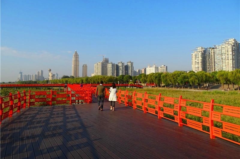 六年前的观芦小桥建议 今朝变成芦花栈桥 汉口江滩芦花栈桥建成