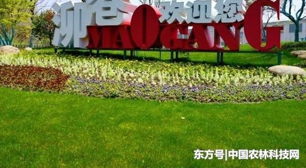 йʮģʽ֮ǽԼͣϺɽ