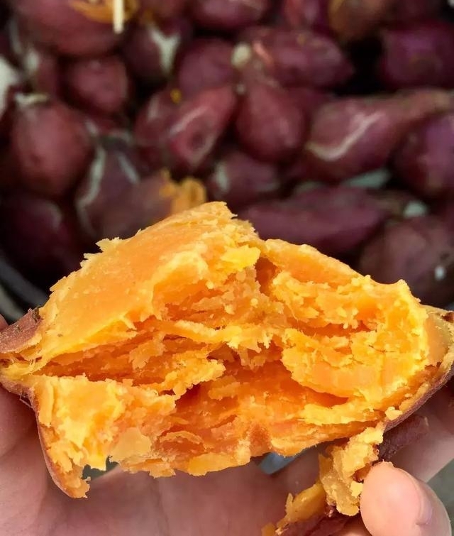 ����ȥ���˺�����������ȥ���׻����أ�����ժ��Ȥ������԰���