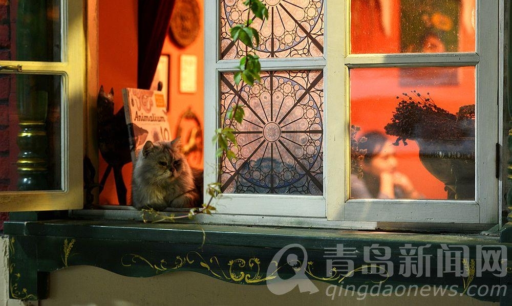 【国庆七天乐】黄县路夜色8点半 这是一条有味道的老街