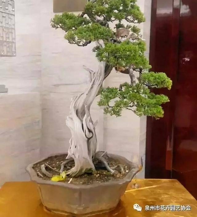 Ȫ�ݻ�Э���ؽ������辰Э����Ľ����»ỻ���ѡ���Բ���ɹ�