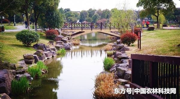 йʮģʽ֮ǽԼͣϺɽ