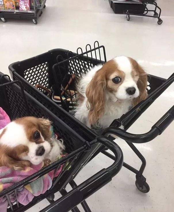 �����ռ���17�����˾�̾���ɺϣ������˾�Ȼ�е�ж�����