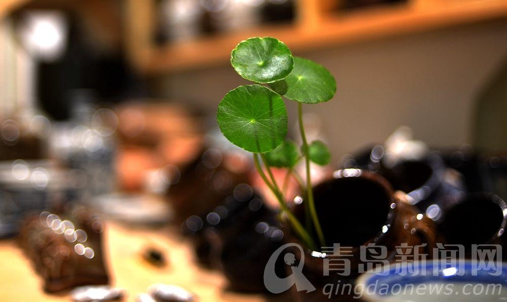 【国庆七天乐】黄县路夜色8点半 这是一条有味道的老街