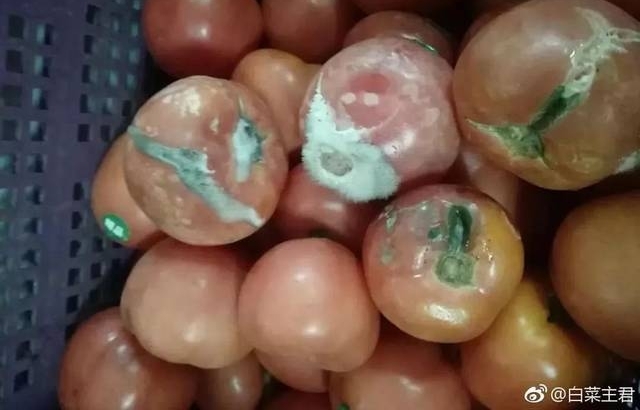 ѧ͡ⲿ硱׺ʱܾգ | ¾