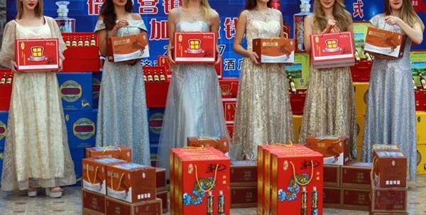 又是一年重阳日 鹿茸血酒动泉城