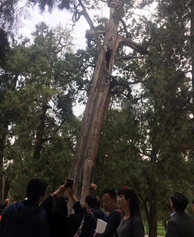 ������ˮ������ɽ ������ӵ���2569�� ȫ���黭������Ʒ����չ