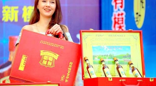 又是一年重阳日 鹿茸血酒动泉城