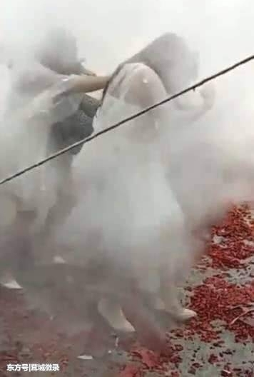 ���ֶ��ף����������������