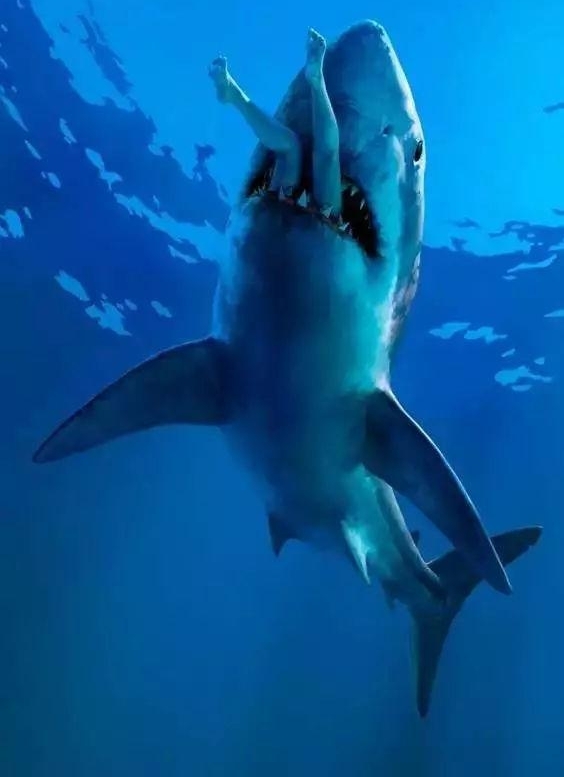29�Ų���˼�����Ƭ��һ������...