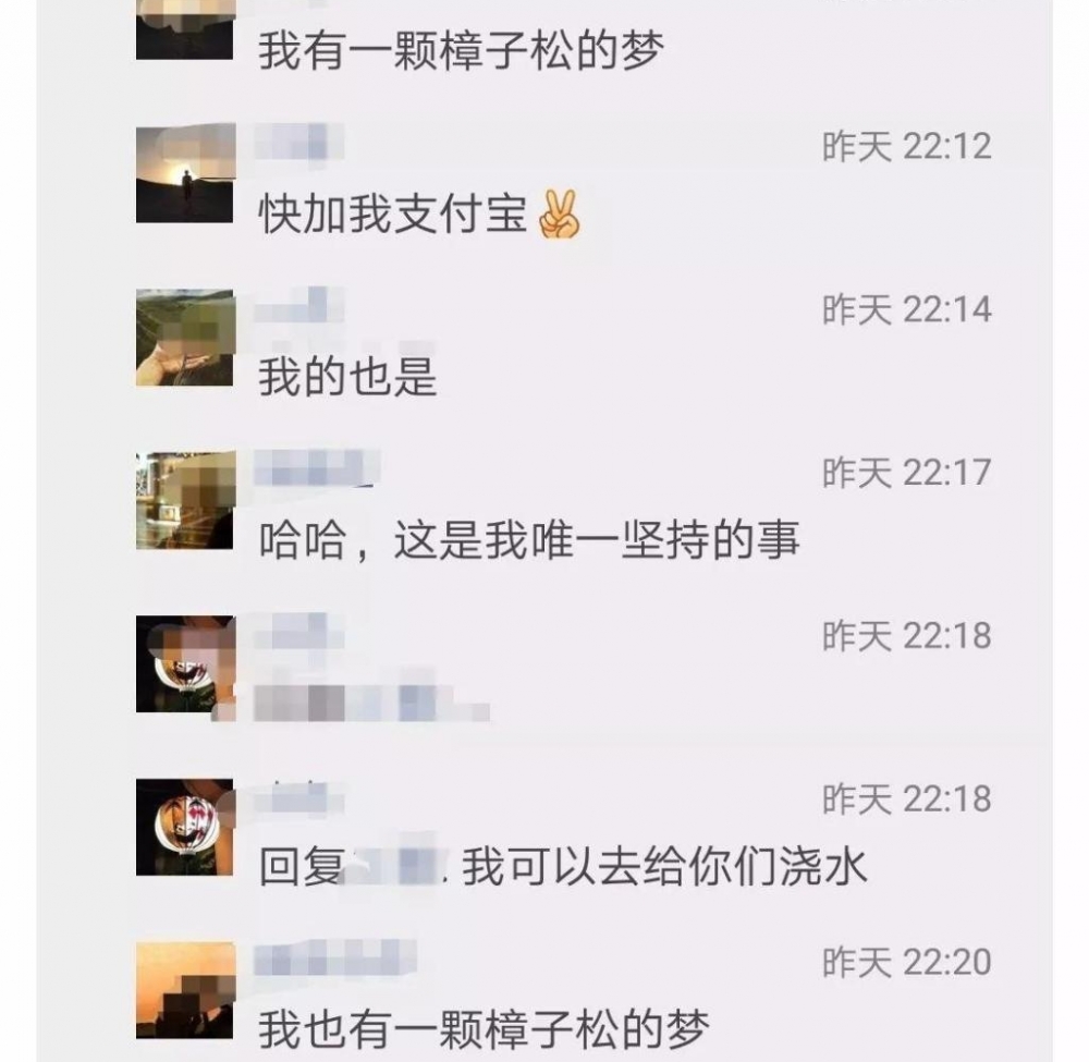 ��һȺ�ˣ�����������ҫ�����������֣�������֧����