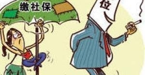 ����籣��˰����գ���������Ա�����籣����ҵ�ᱻ����������