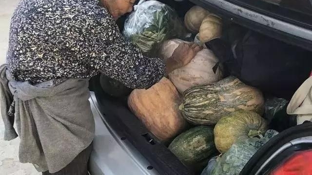 ���췵������ɹ���䣺�о�����������������