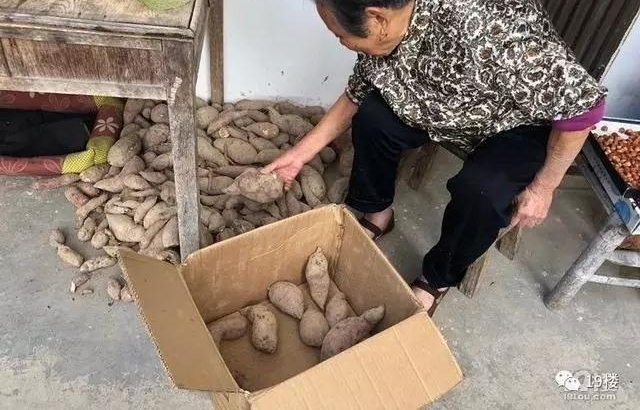 ���췵������ɹ���䣺�о�����������������
