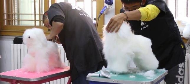 ڼϳﹷҲԹˣ30Ԫһ죬˹᲻