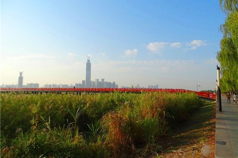 六年前的观芦小桥建议 今朝变成芦花栈桥 汉口江滩芦花栈桥建成