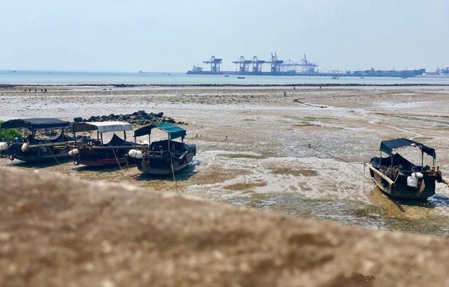 ǣʺϱϵĳУѵֵͣһȥ