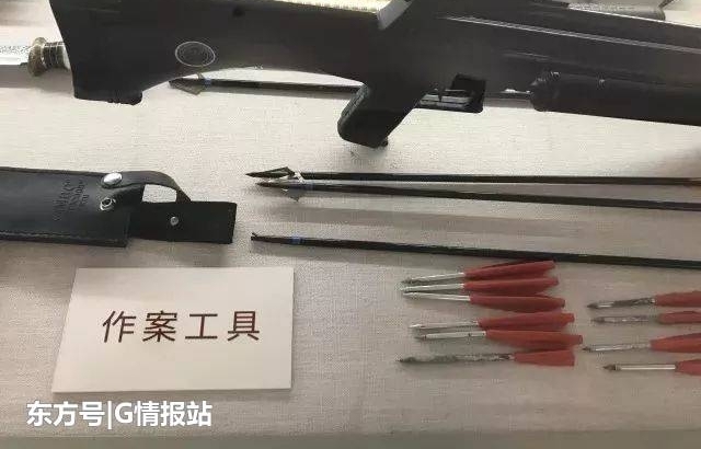 公安部门扫黑,意外牵扯出盗墓集团,缴获的文物可以建一个博物馆