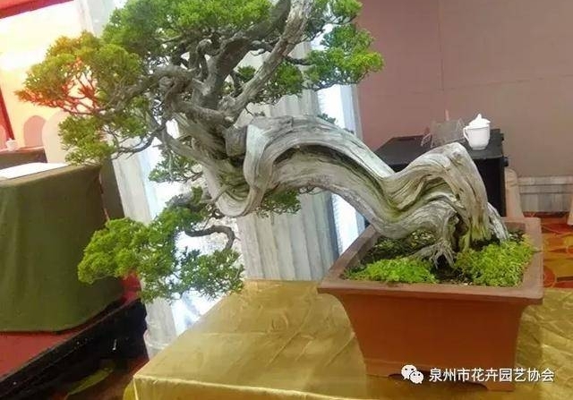 Ȫ�ݻ�Э���ؽ������辰Э����Ľ����»ỻ���ѡ���Բ���ɹ�