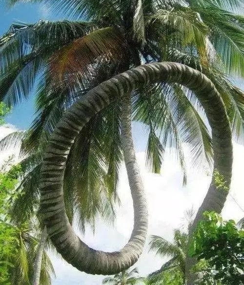 29�Ų���˼�����Ƭ��һ������...