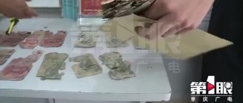 ����ʮ�������޿��ǽ�� ���Ǯ������＂���в�＂