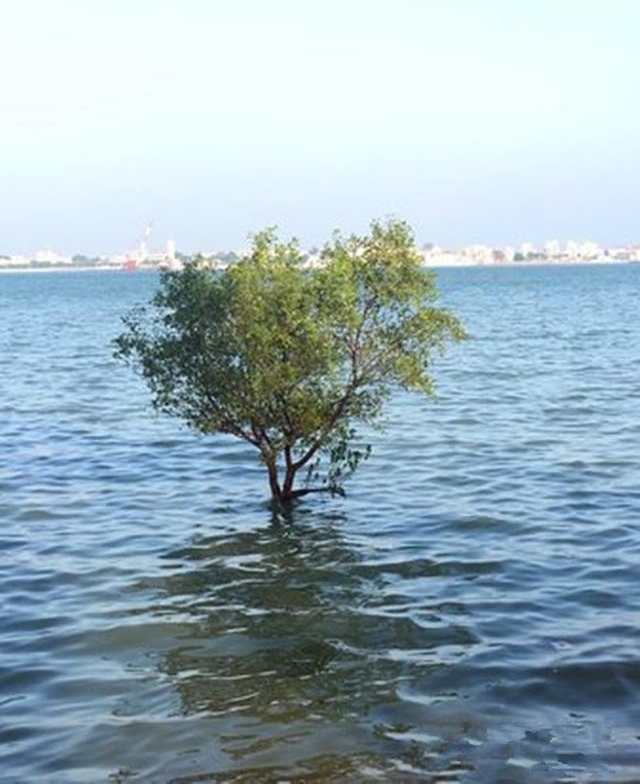 ǣʺϱϵĳУѵֵͣһȥ